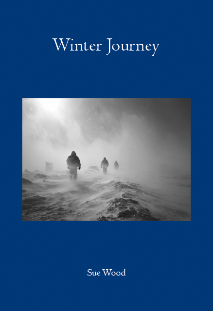 Winter Journey